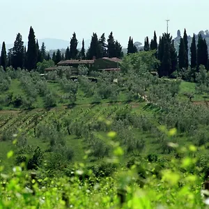 Fattoria Casa Sola Barberino di Val dʼElsa